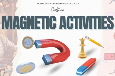 Montessori Magnetic Activities with various objects and a horseshoe magnet.