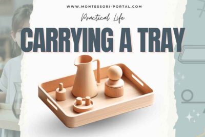Illustration of a wooden tray with Montessori materials including a jug and wooden shapes used for the 'Carrying a Tray' activity.