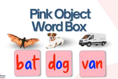 Pink Object Word Box showing words 'bat', 'dog', and 'van' with corresponding images of a bat, a Jack Russell terrier, and a white van.