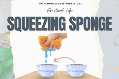 Child squeezing a sponge between bowls to demonstrate water transfer in a Montessori Practical Life exercise